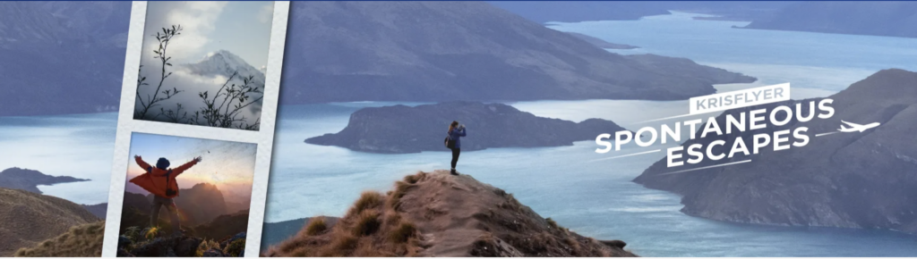 a person standing on a hill with a body of water in the background